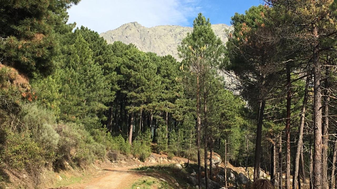 La Calleja Villarejo del Valle エクステリア 写真